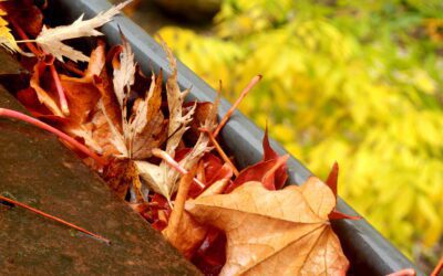 Southern Maine Seamless Gutters: What Changes from Coastal Lots to Wooded Inland Homes