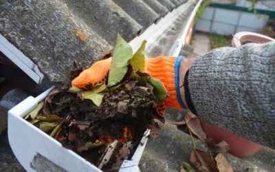 Gutter Repair or Replacement? Start With Cleaning: A Homeowner Decision Tree